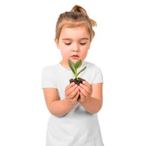 Curso en Educación Infantil Consciente y Positiva